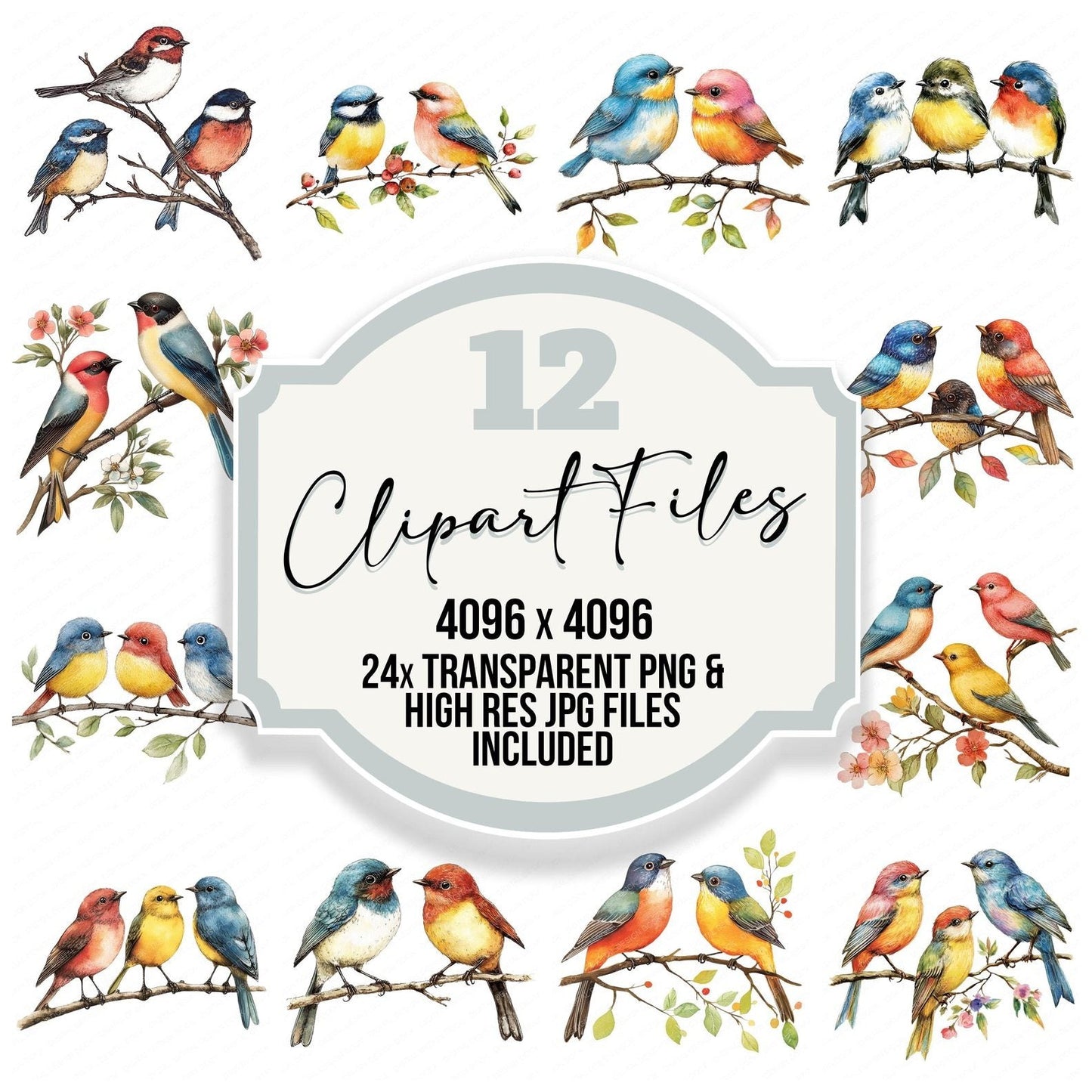 Garden Bird Friends Clipart Set (DDD005681)