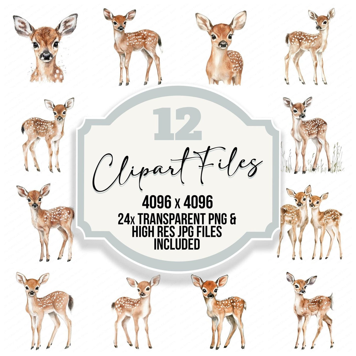 Gentle Fawn Deer Clipart Set (DDD005688)