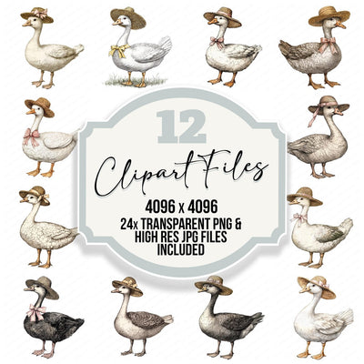 Goose in Straw Hat Clipart Set (DDD005732)
