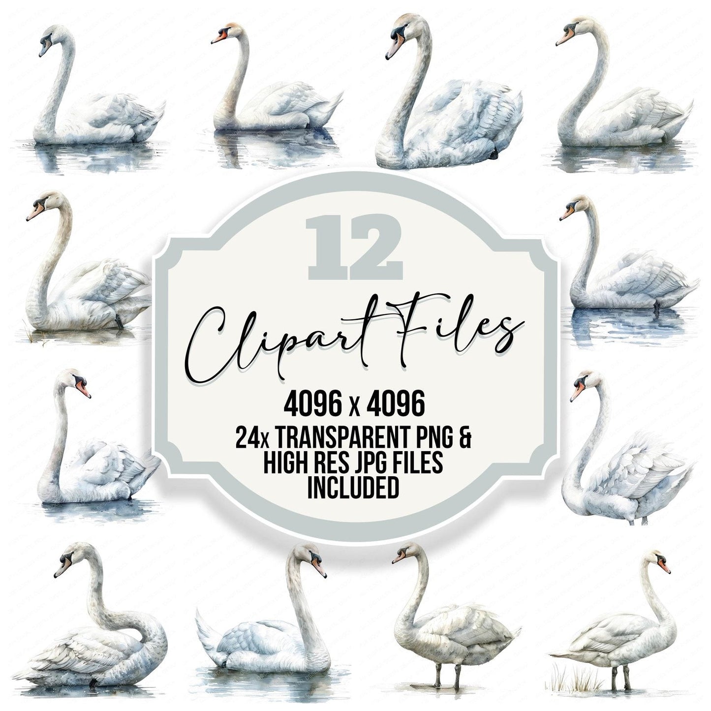Graceful Swan Clipart Set (DDD005743)