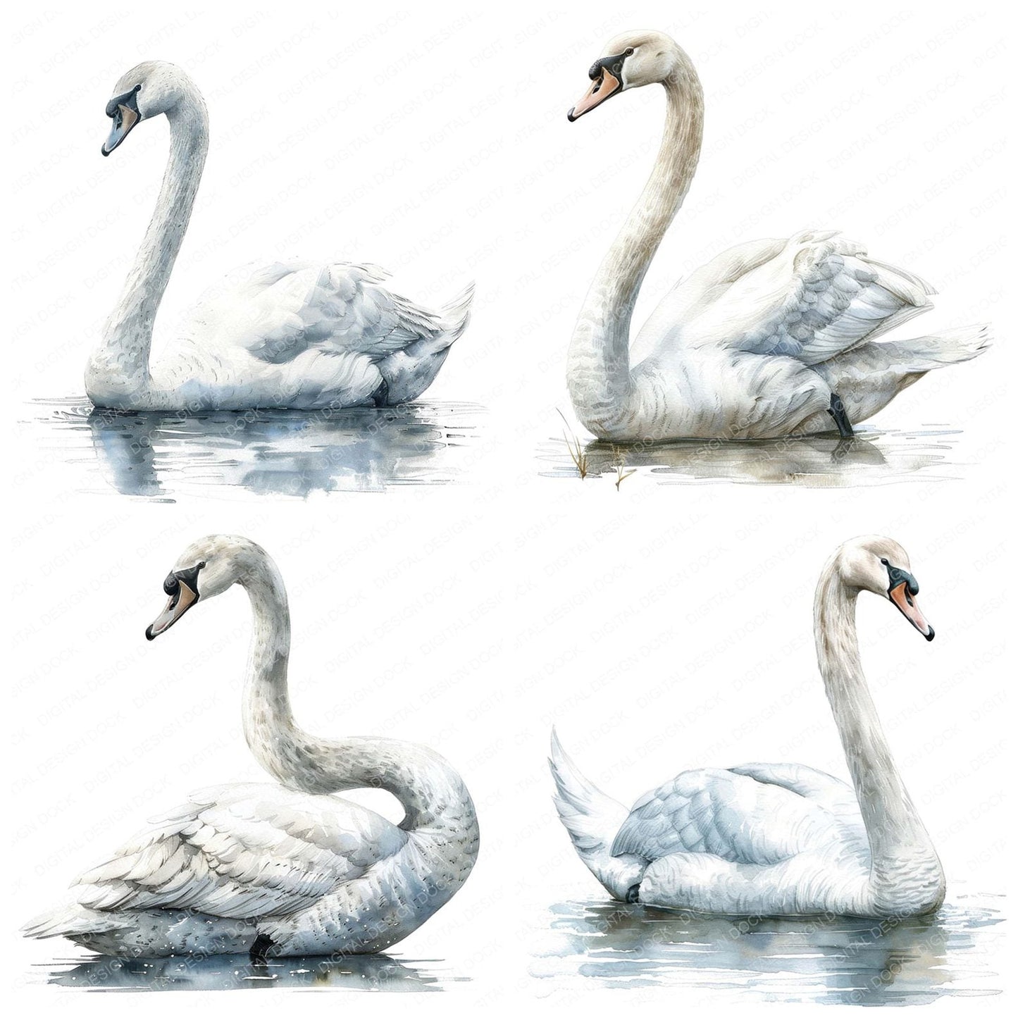 Graceful Swan Clipart Set (DDD005743)