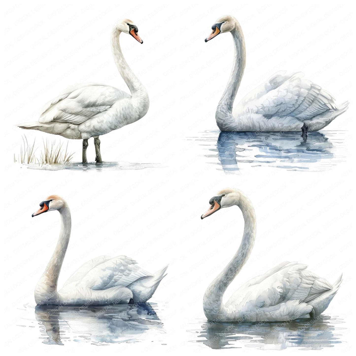 Graceful Swan Clipart Set (DDD005743)