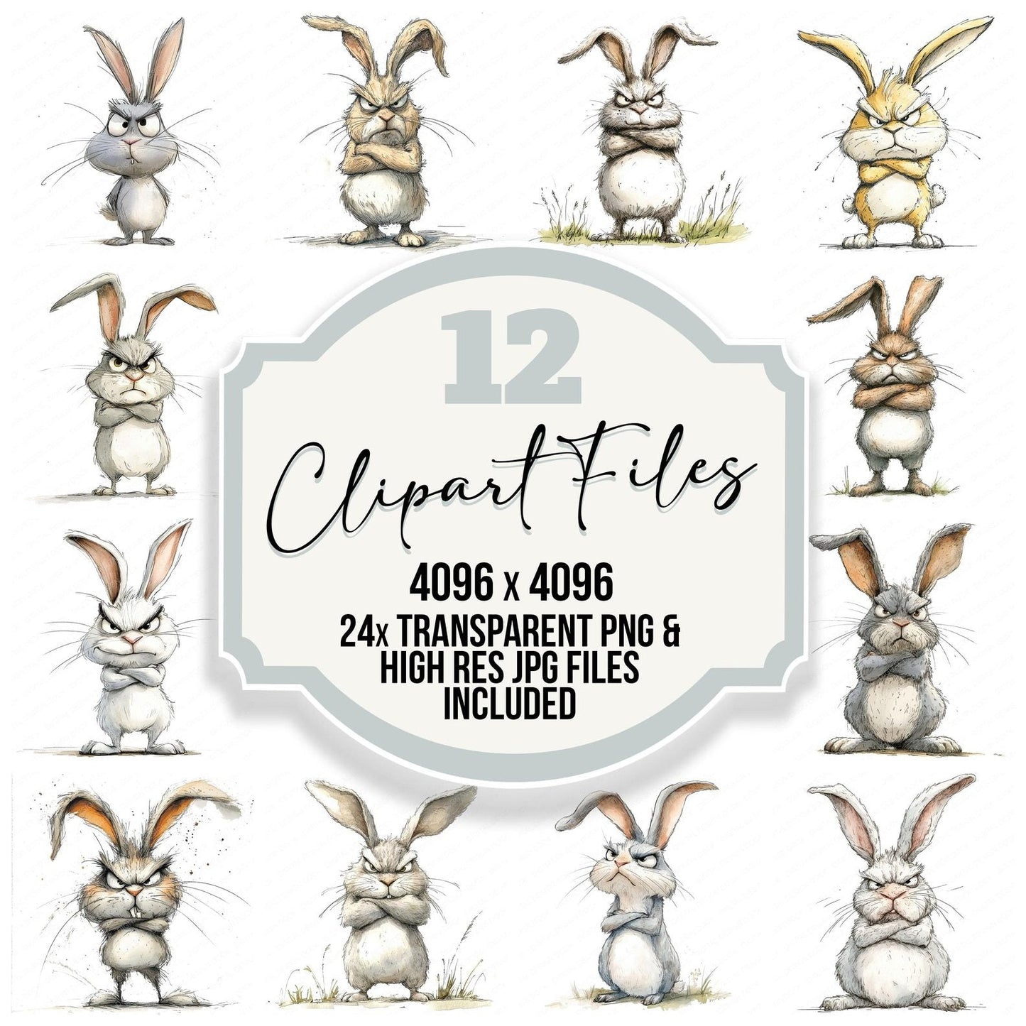 Grumpy Rabbit Character Clipart Set (DDD005753)