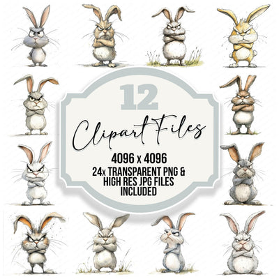 Grumpy Rabbit Character Clipart Set (DDD005753)