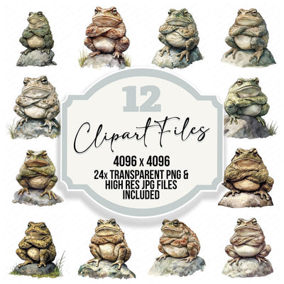 Grumpy Toad Frog Clipart Set (DDD005754)
