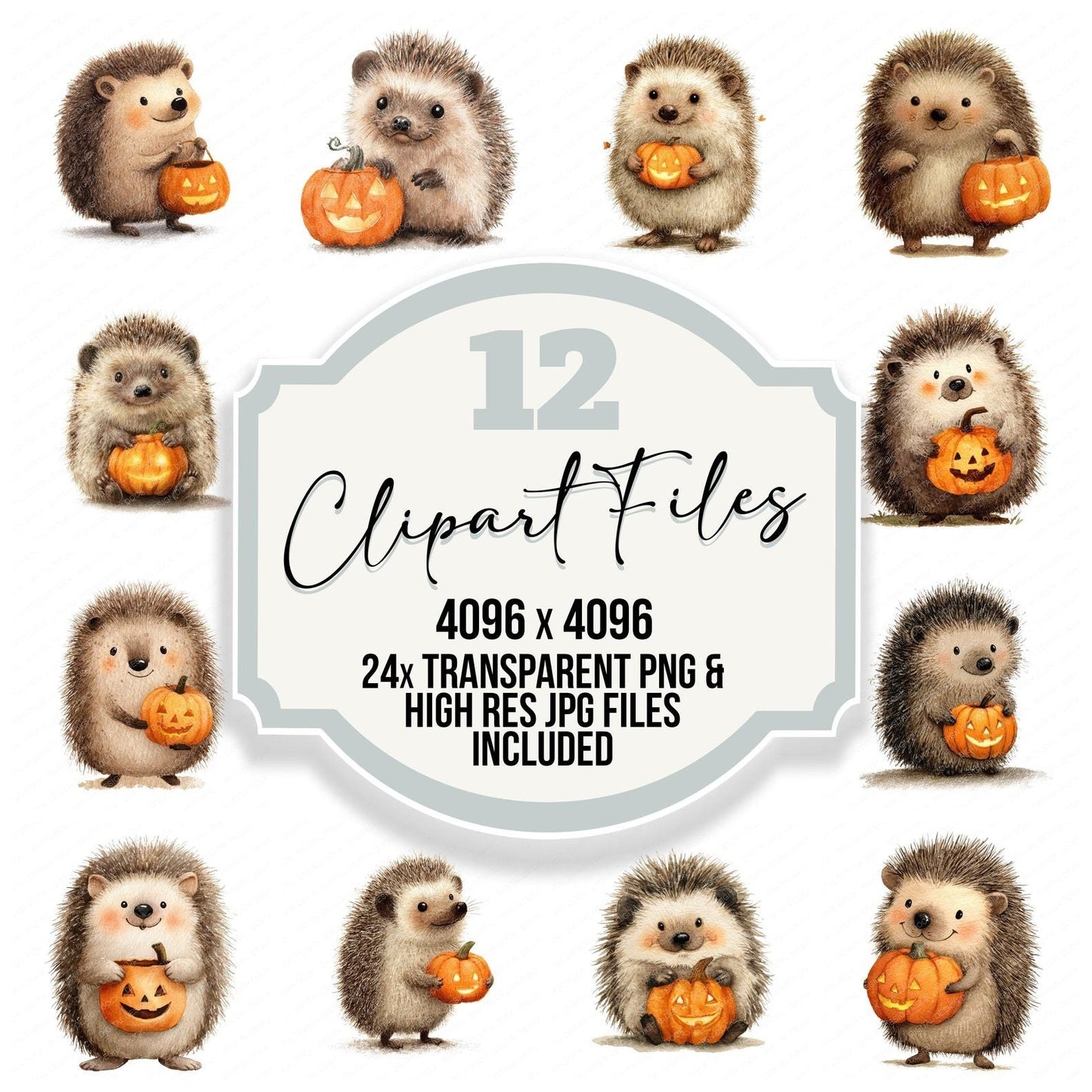 Halloween Watercolour Hedgehog Pumpkin Clipart Set (DDD005788)