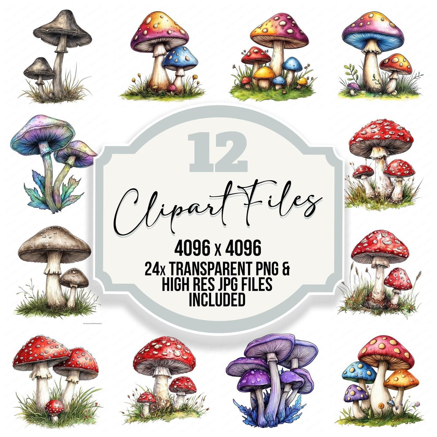 Hand Drawn Mushrooms Clipart Set (DDD005807)