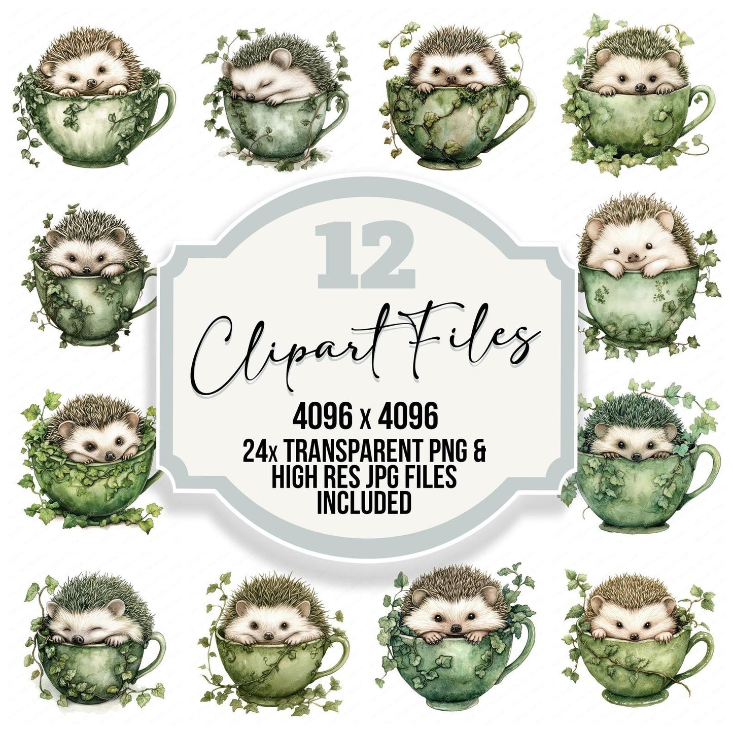 Hedgehog in Ivy Teacup Clipart Set (DDD005829)