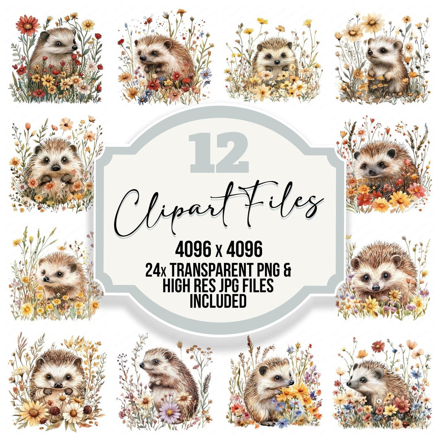 Hedgehog in Wildflowers Clipart Set (DDD005830)