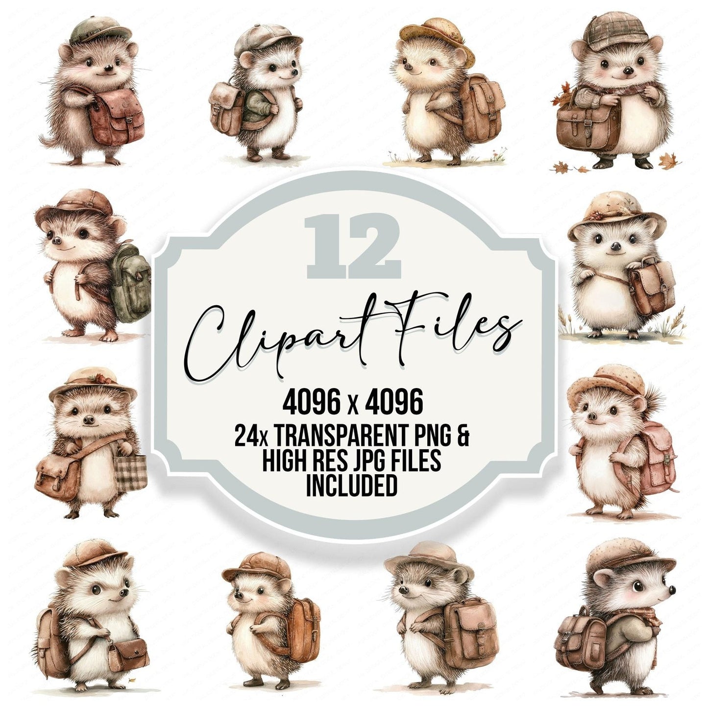 Hedgehog with Satchel Clipart Set (DDD005831)