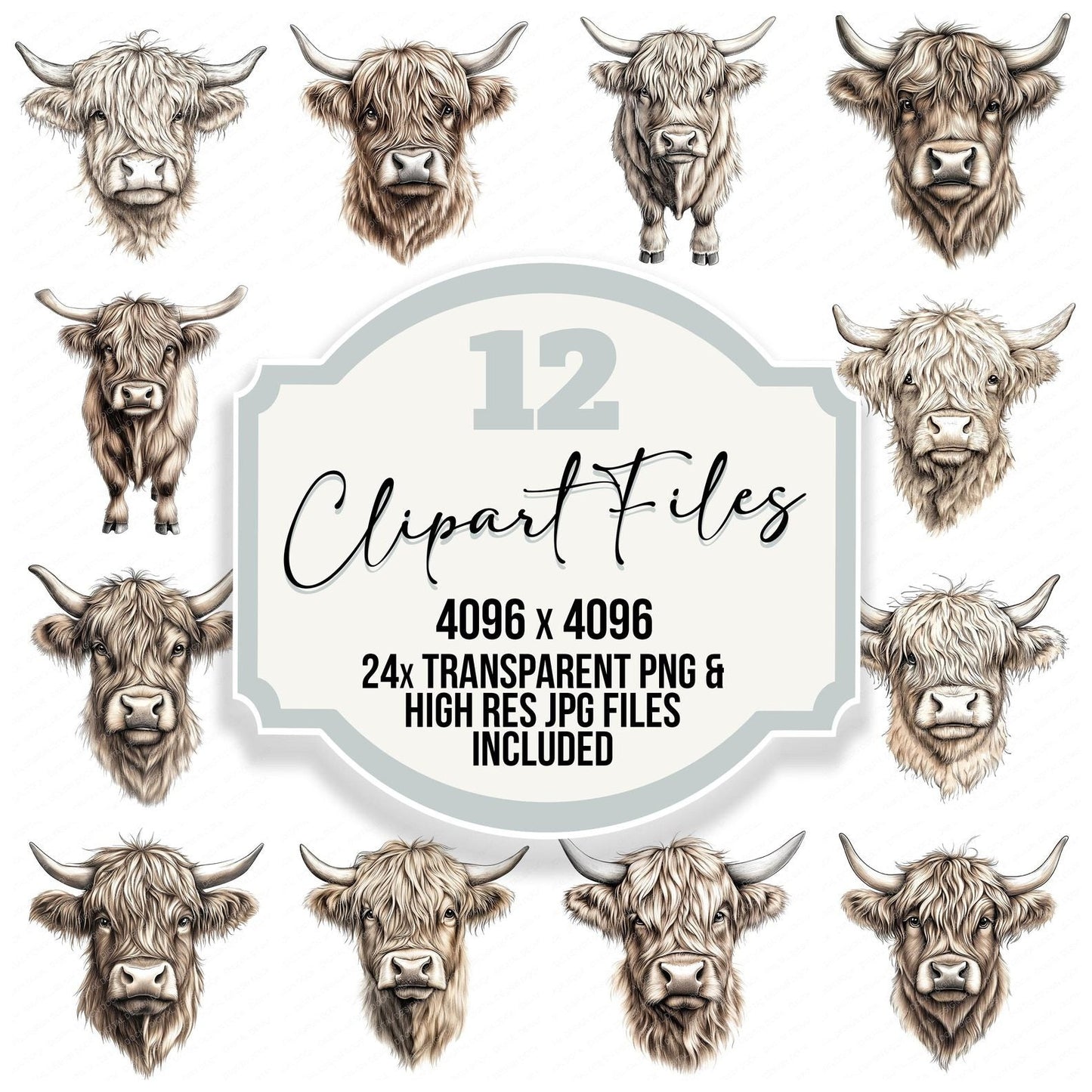 Highland Cow Portrait Clipart Set (DDD005837)
