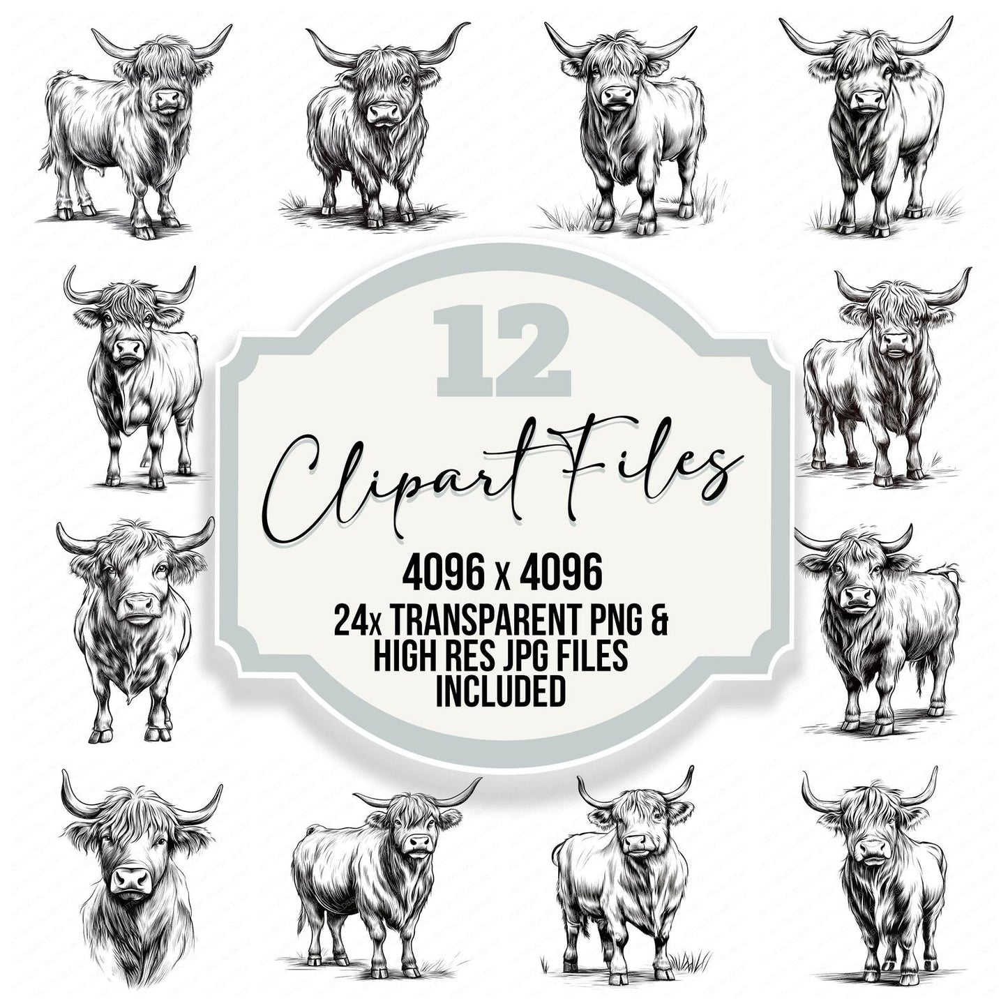 Highland Cow Sketch Clipart Set (DDD005838)