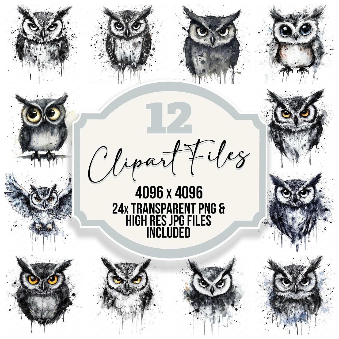 Ink-Washed Owl Sketch Clipart Set (DDD005879)