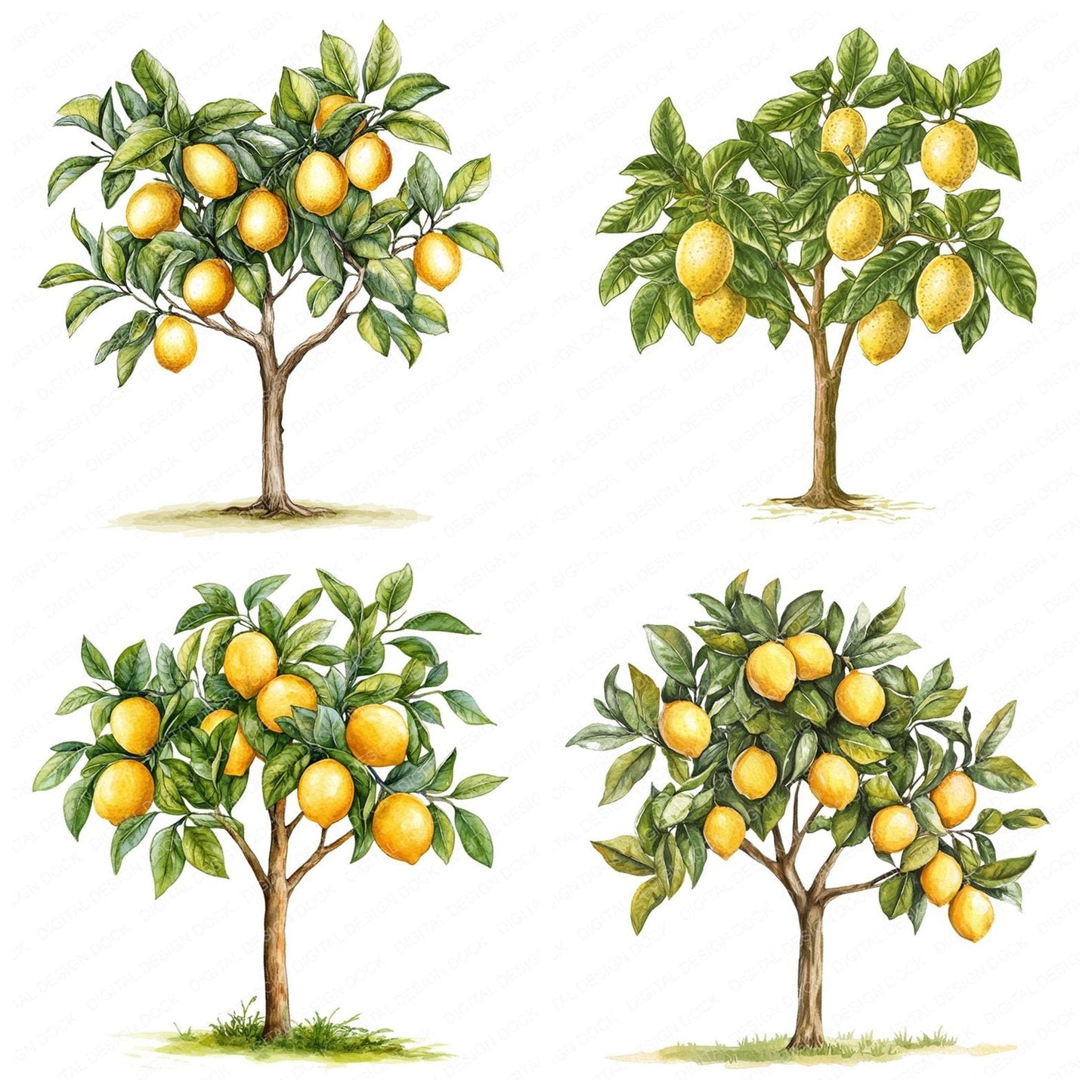 Lemon Tree Clipart Set (DDD005958)