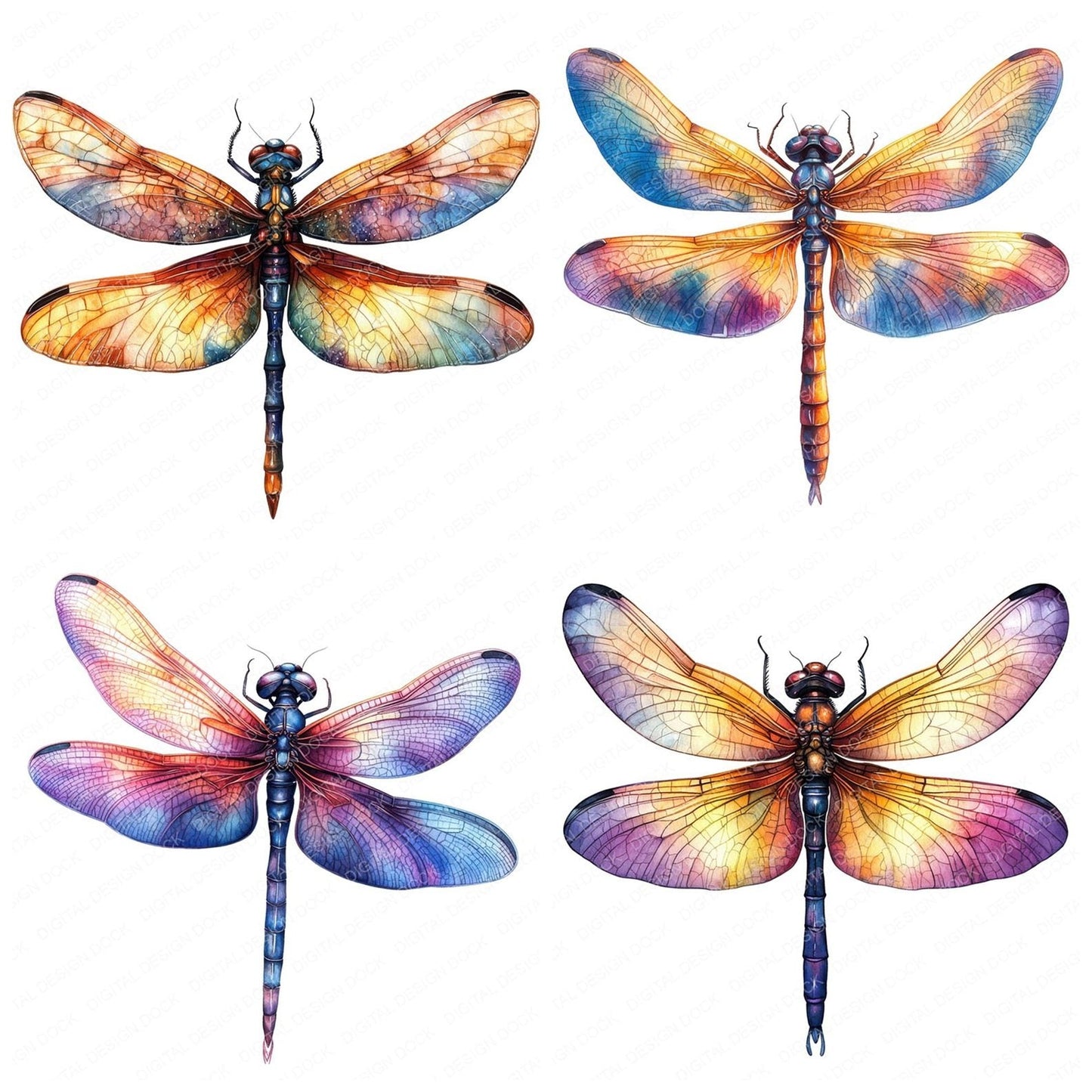 Magical Dragonfly Clipart Set (DDD005998)
