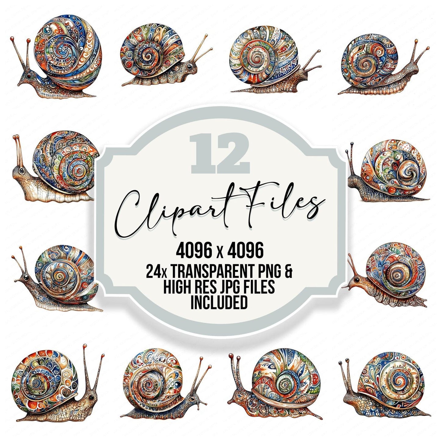 Mandala Design Snail Clipart Set (DDD006016)