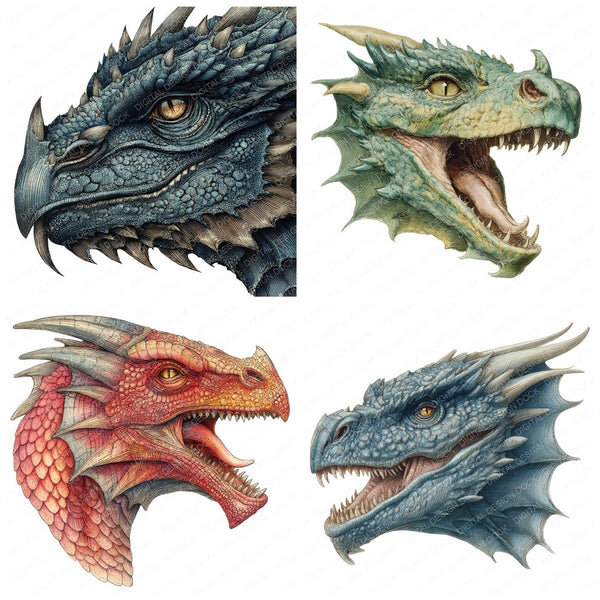 Medieval Dragon Head Clipart Set – The Digital Design Dock