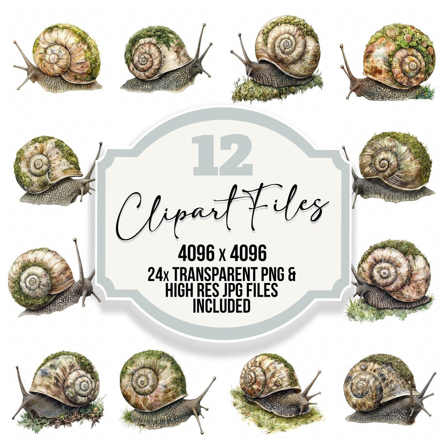Moss Covered Snail Clipart Set (DDD006103)