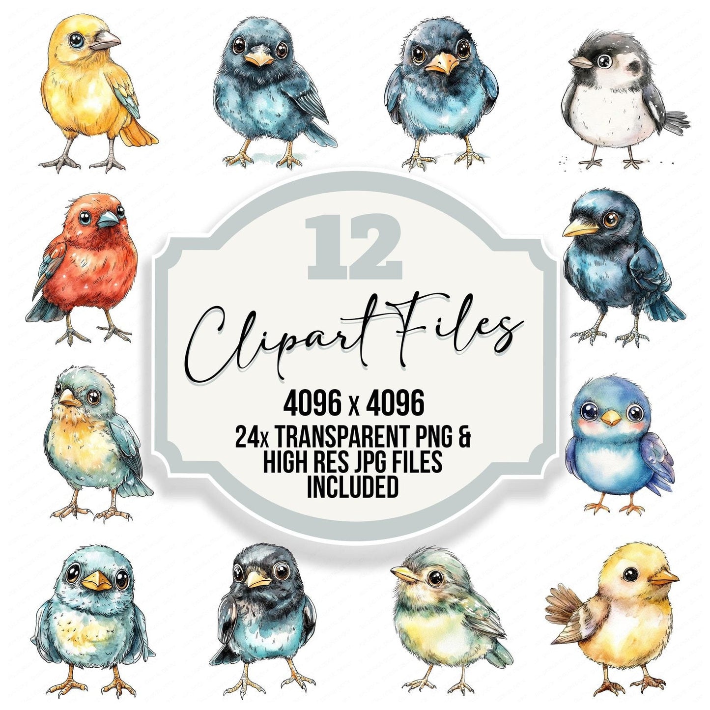 Nursery Style Cartoon Crow Clipart Set (DDD006182)