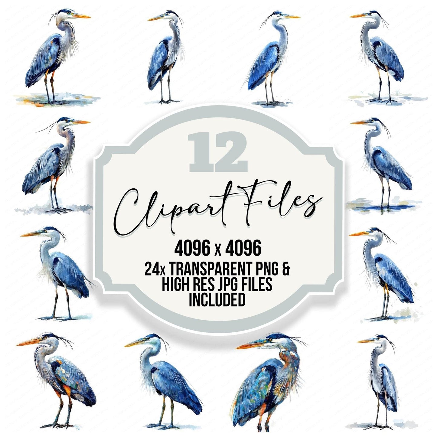 Oil Paint Blue Heron Clipart Set (DDD006191)