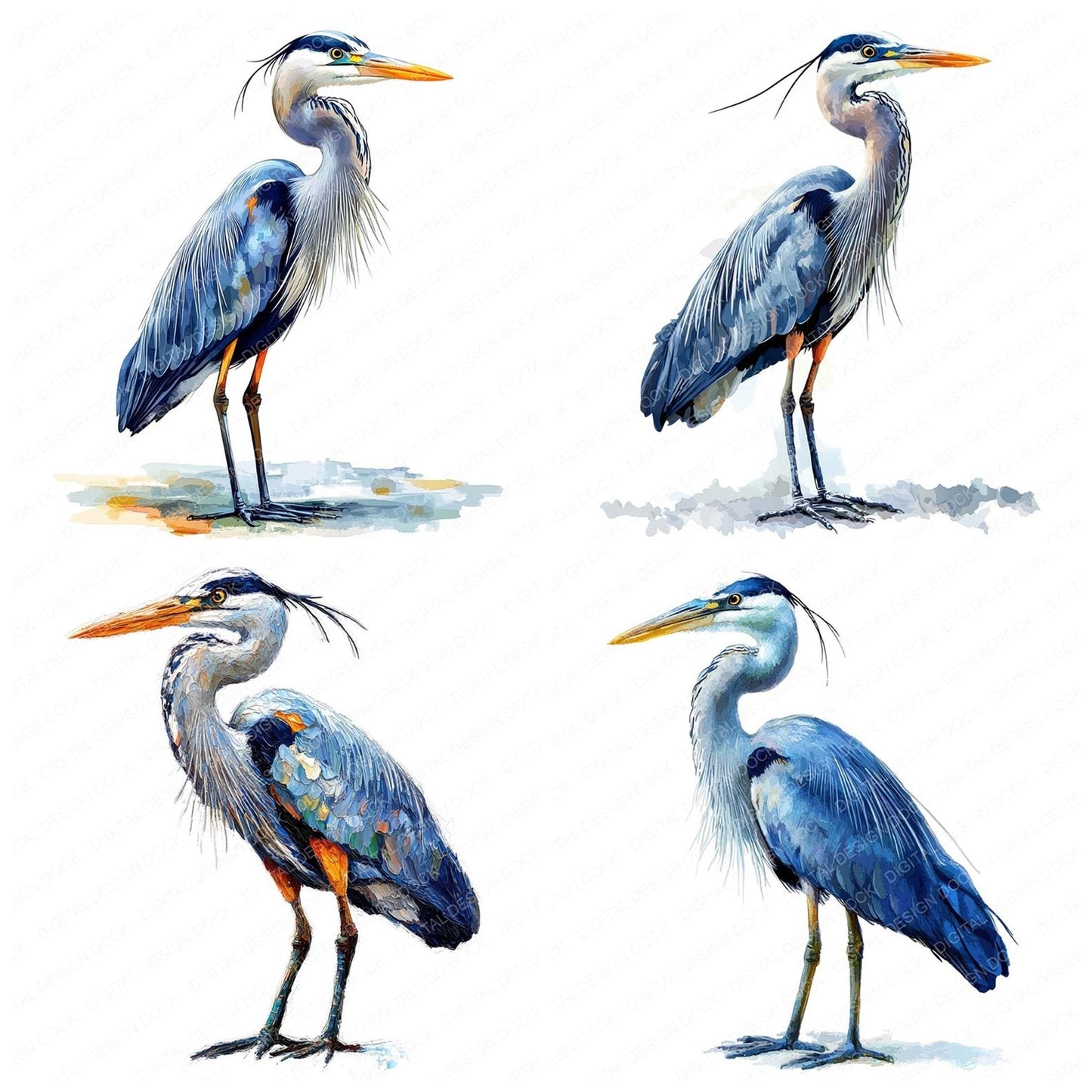 Oil Paint Blue Heron Clipart Set (DDD006191)