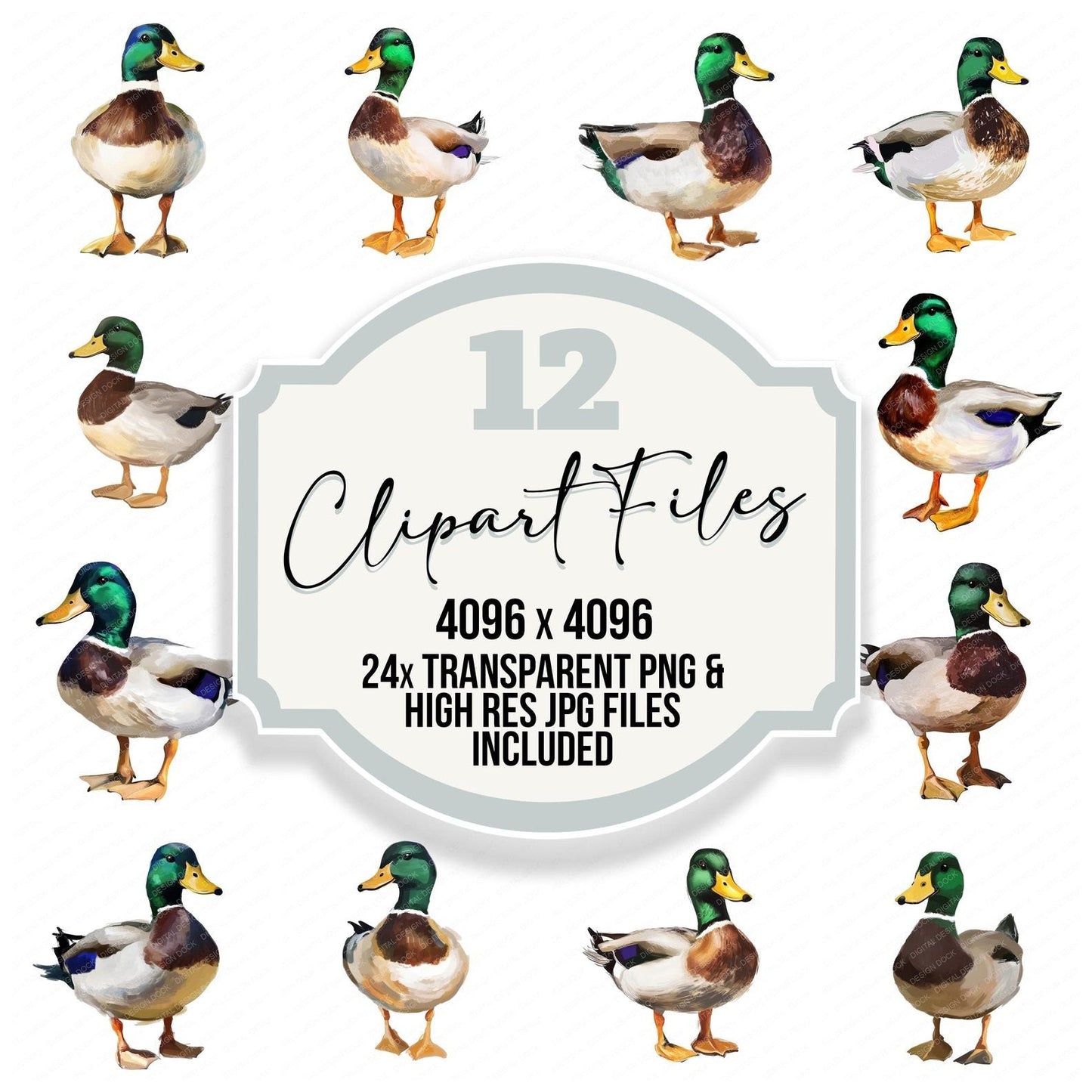 Oil Painted Mallard Duck Clipart Set (DDD006193)