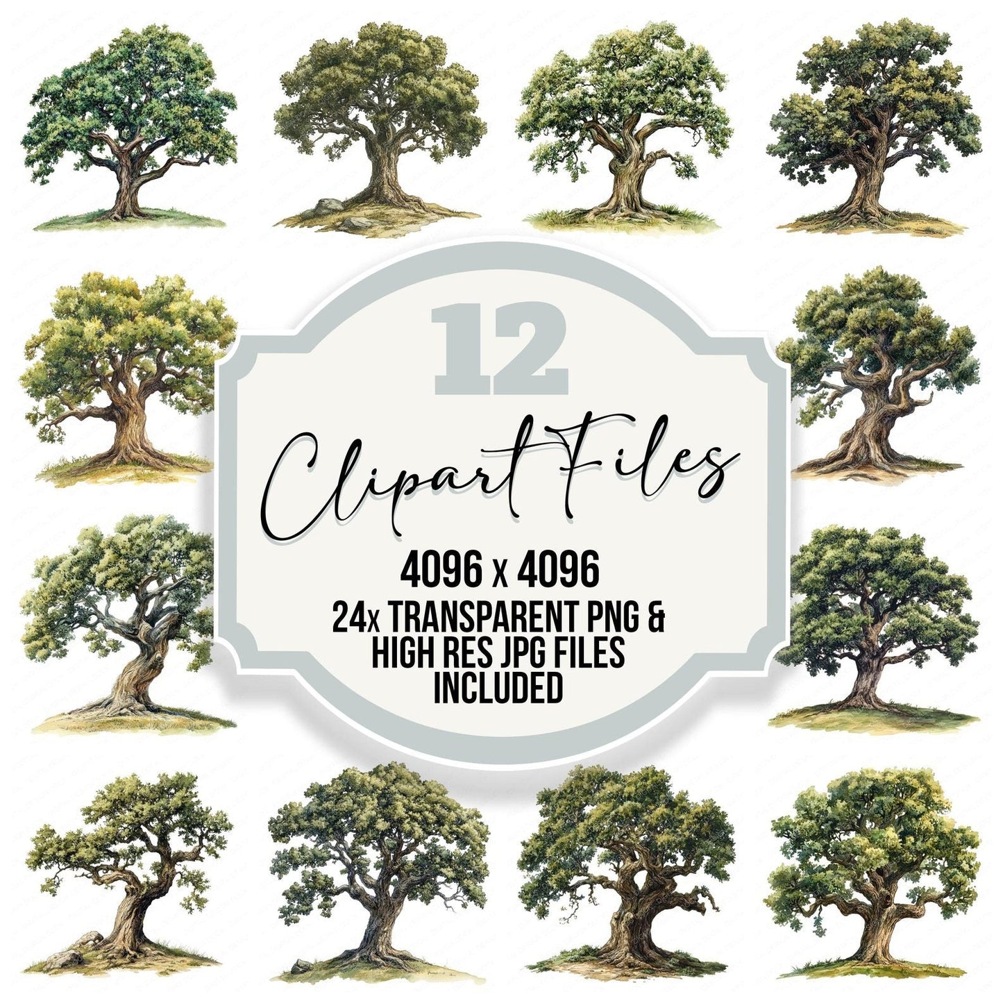 Old Oak Tree Vintage Illustration Clipart Set (DDD006202)
