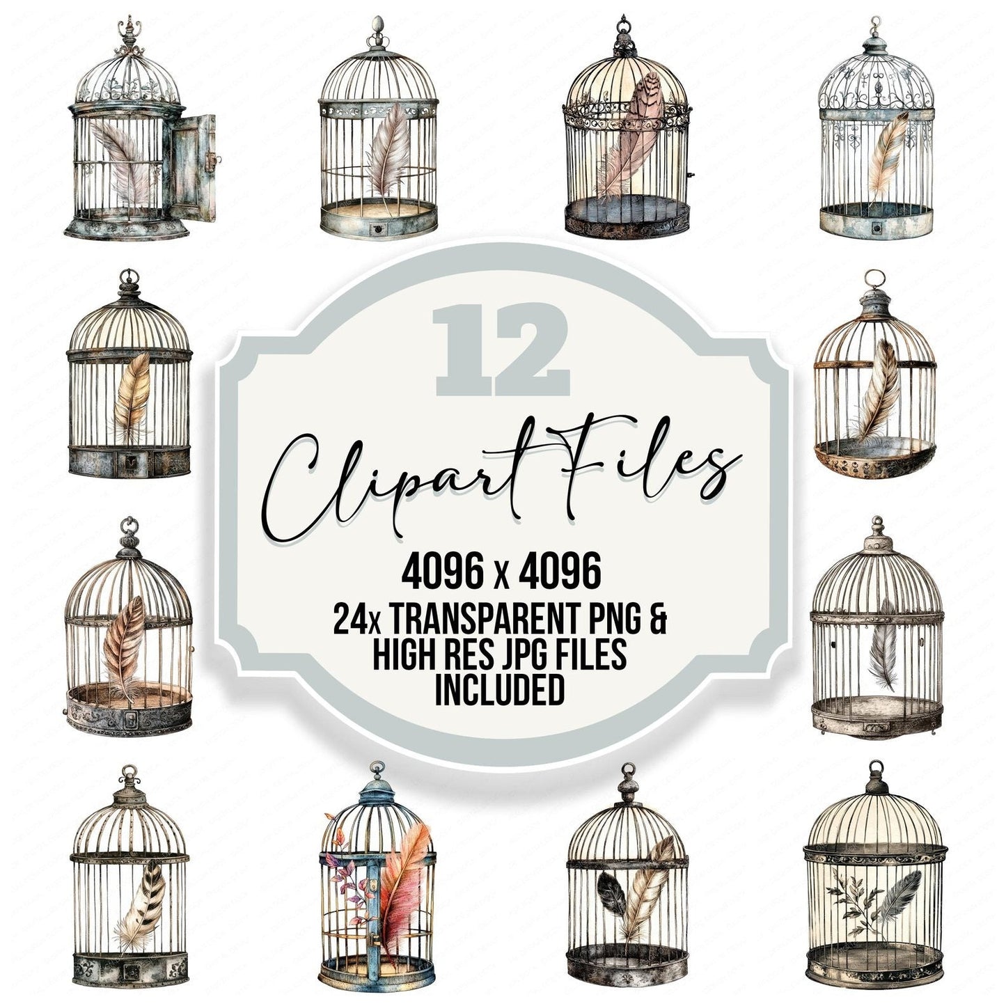 Open Birdcage with Feather Clipart Set (DDD006208)