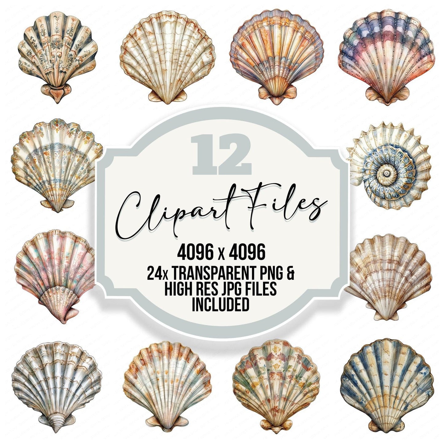 Patterned Sea Shell Clipart Set (DDD006274)