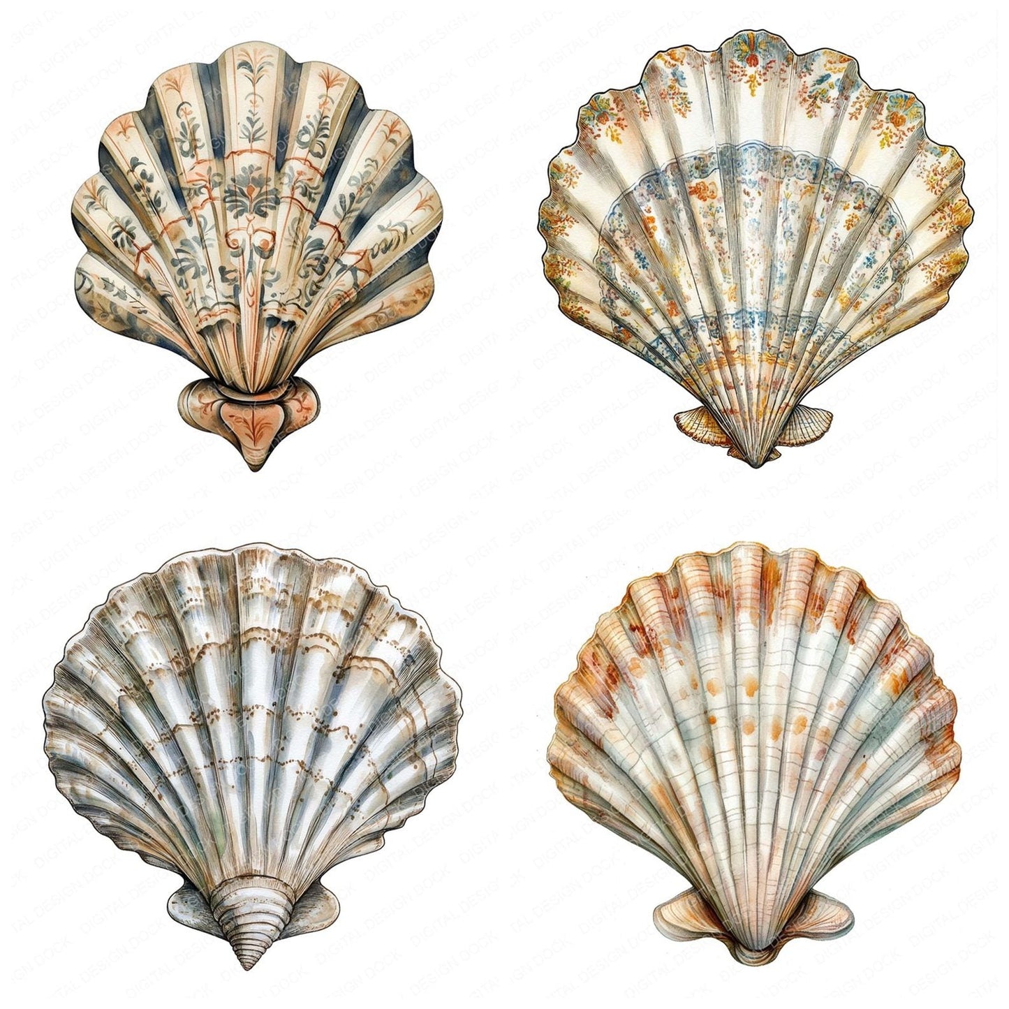 Patterned Sea Shell Clipart Set (DDD006274)