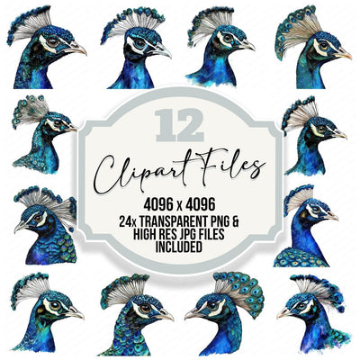 Peacock Head Profile clipart set cover showing the designs and file details