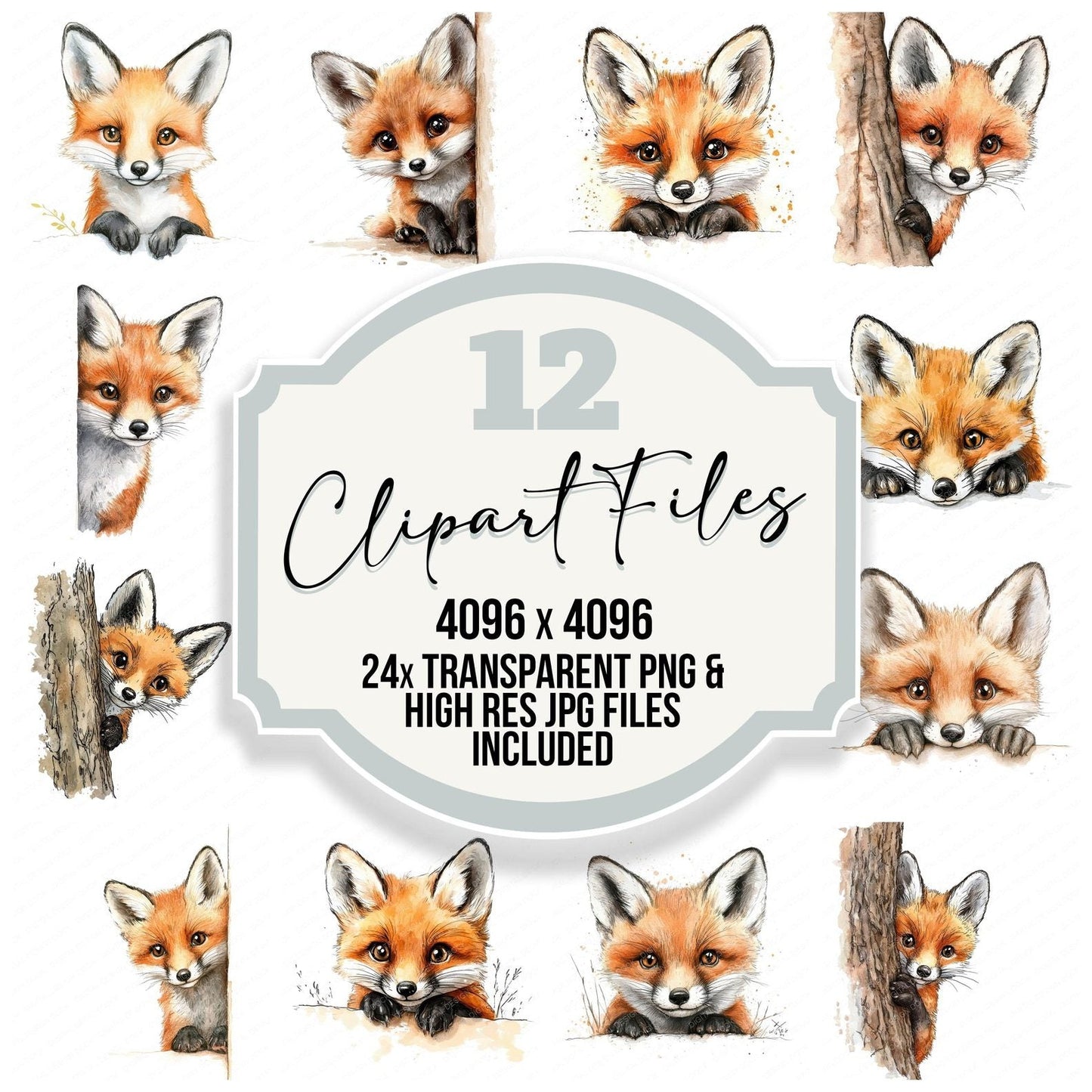 Peeking Cute Fox Clipart Set (DDD006279)