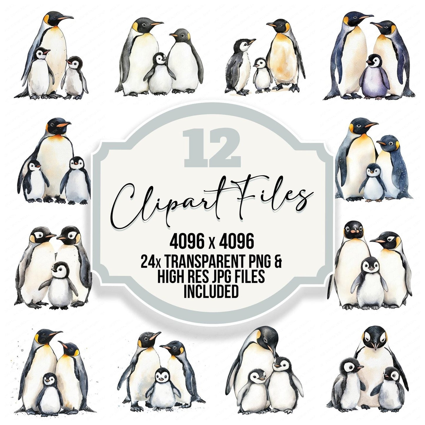 Penguin Family Clipart Set (DDD006281)