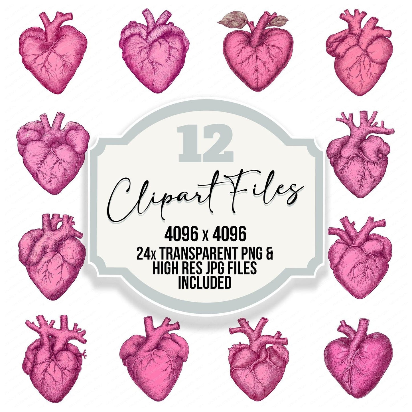 Pink Boho Heart Illustartion Clipart Set (DDD006301)
