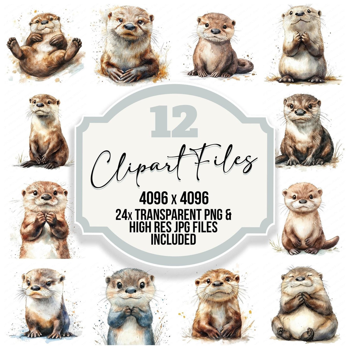 Playful Otter Clipart Set (DDD006328)