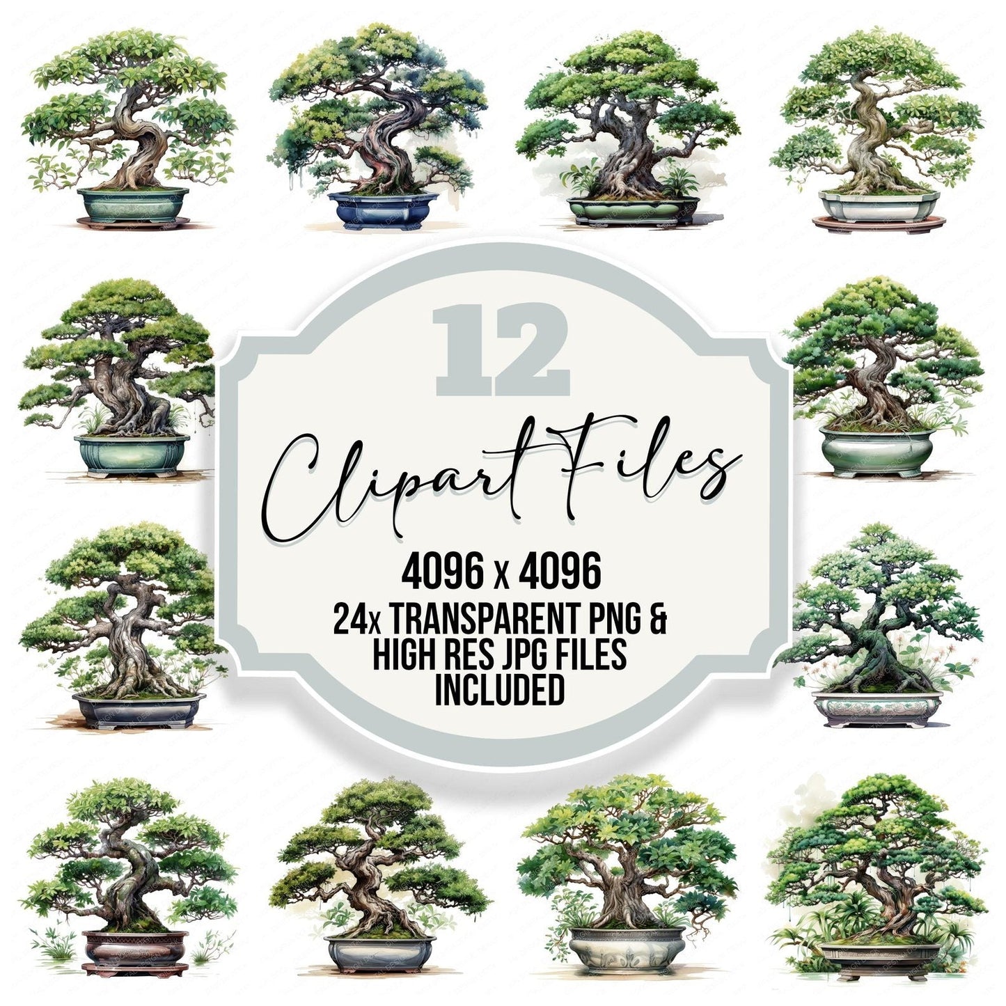 Potted Bonsai Tree Clipart Set (DDD006338)