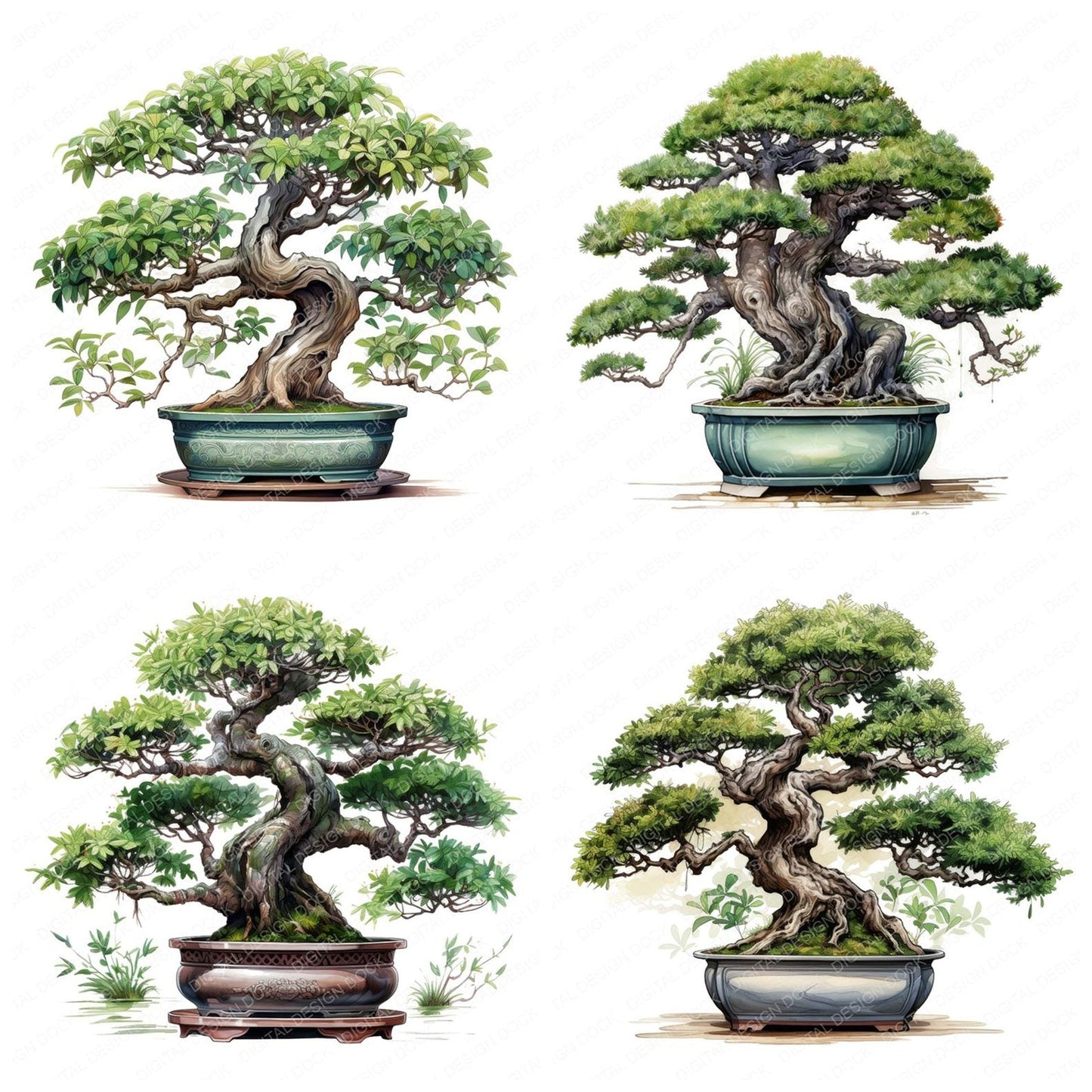 Potted Bonsai Tree Clipart Set (DDD006338)