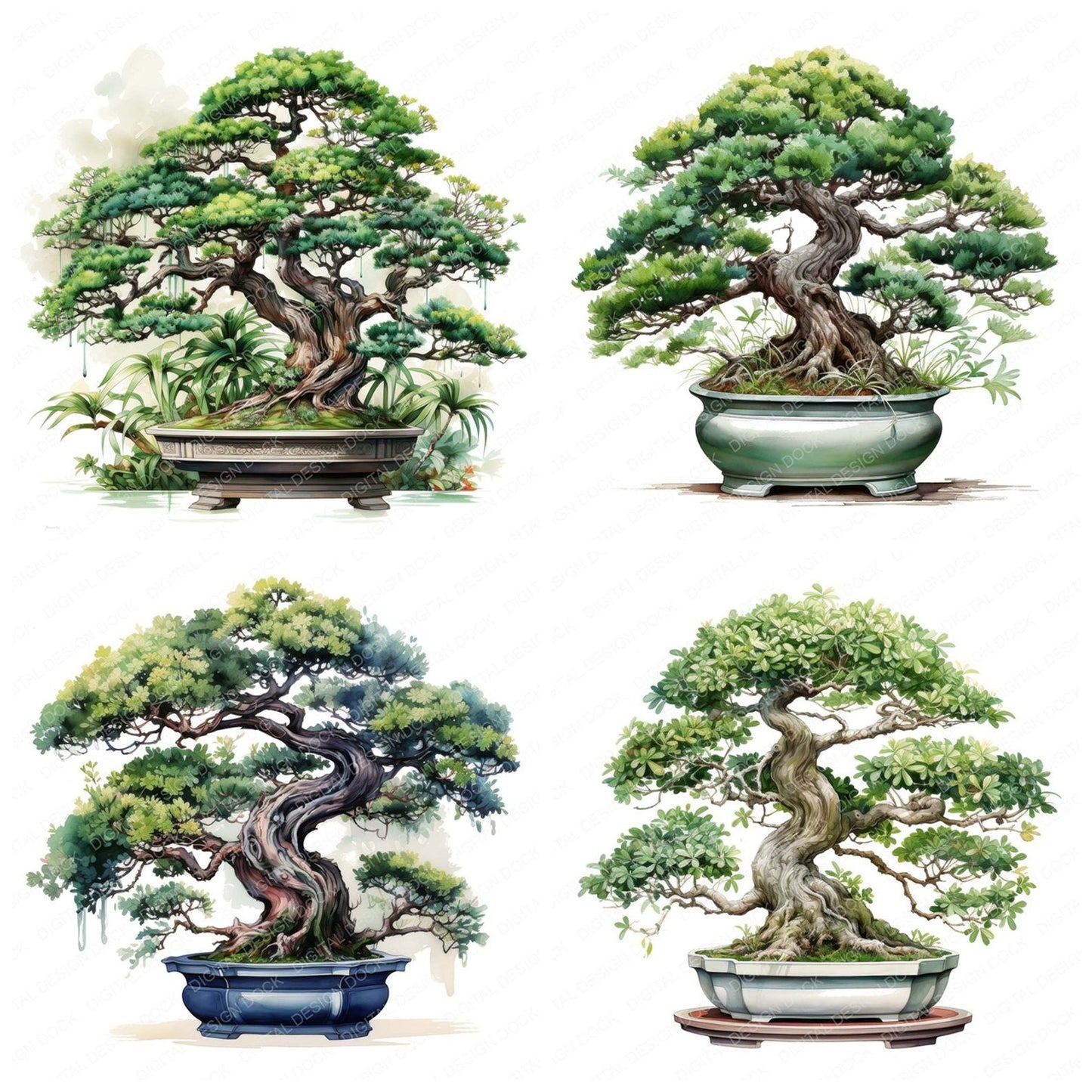 Potted Bonsai Tree Clipart Set (DDD006338)