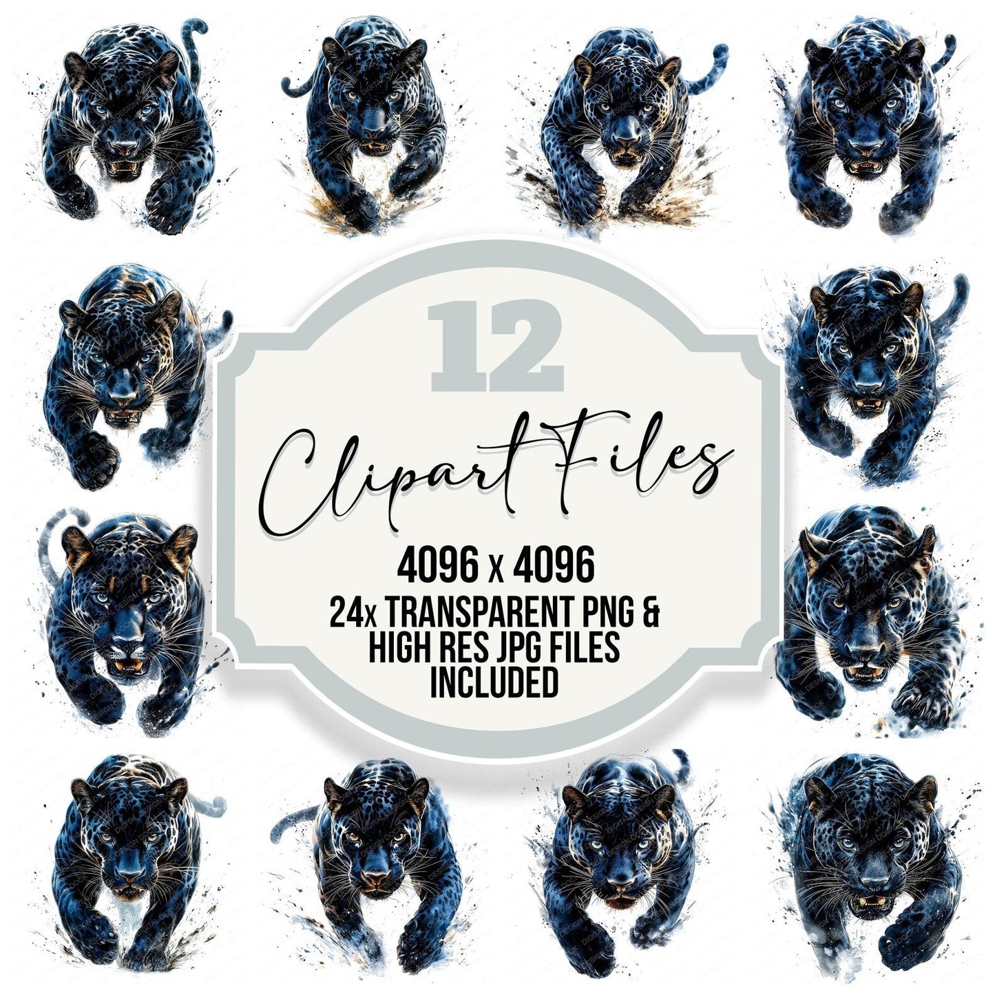 Pouncing Black Jaguar Clipart Set (DDD006343)