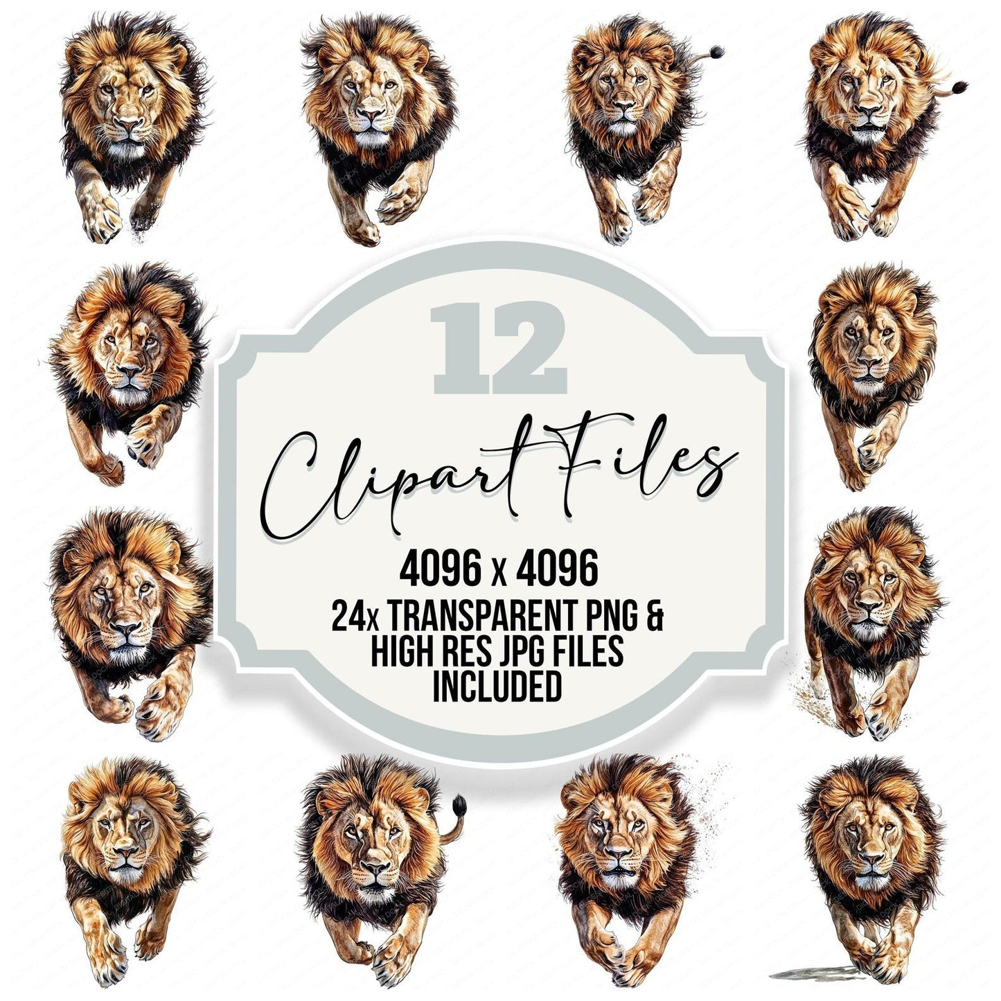 Pouncing Male Lion Clipart Set (DDD006344)