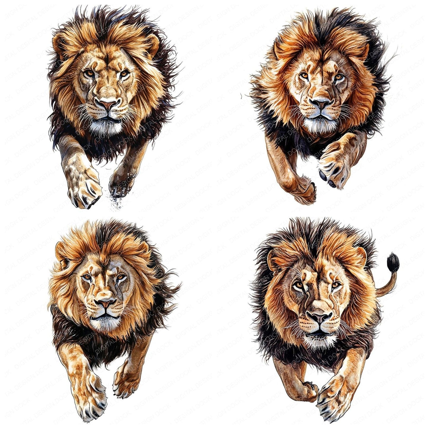Pouncing Male Lion Clipart Set (DDD006344)