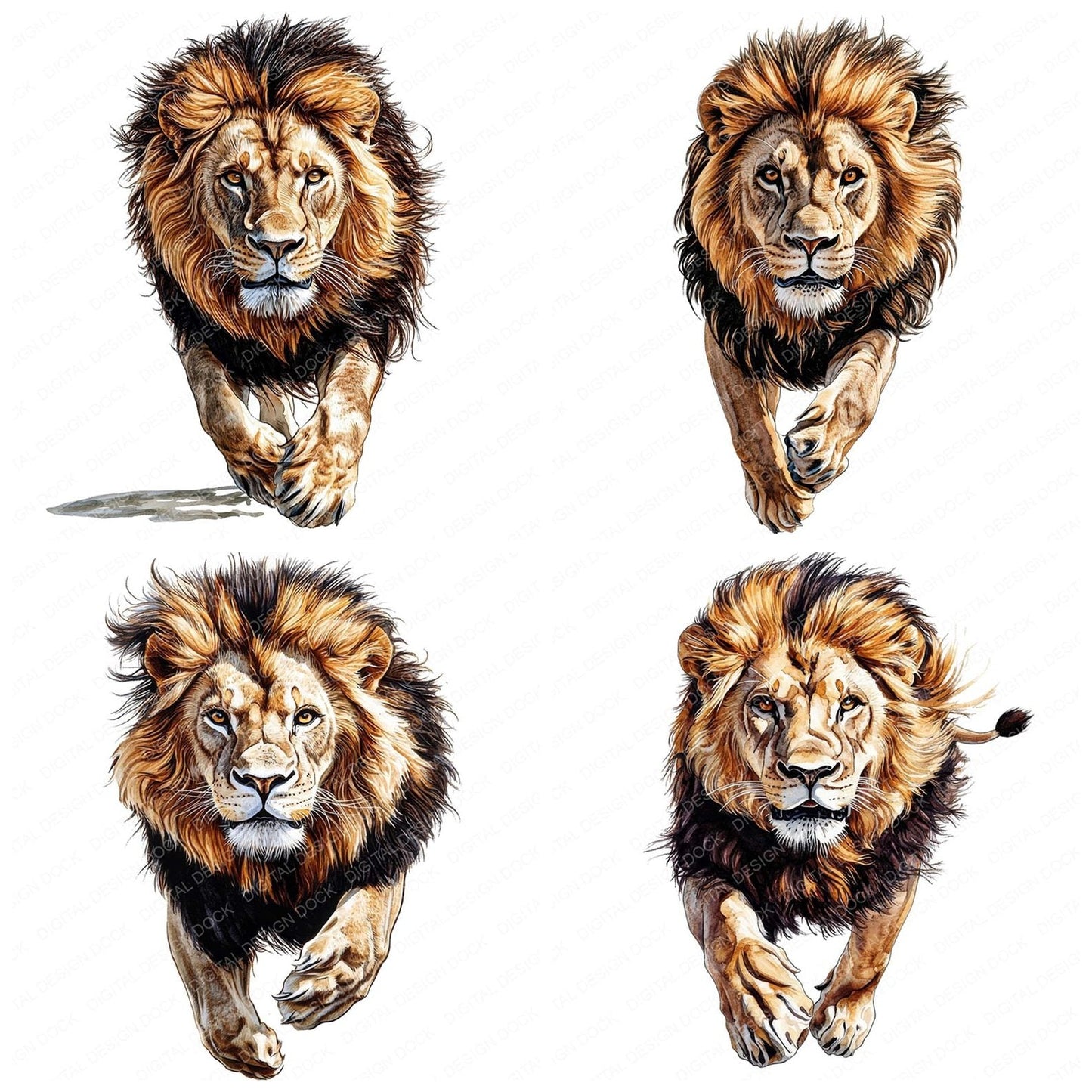 Pouncing Male Lion Clipart Set (DDD006344)