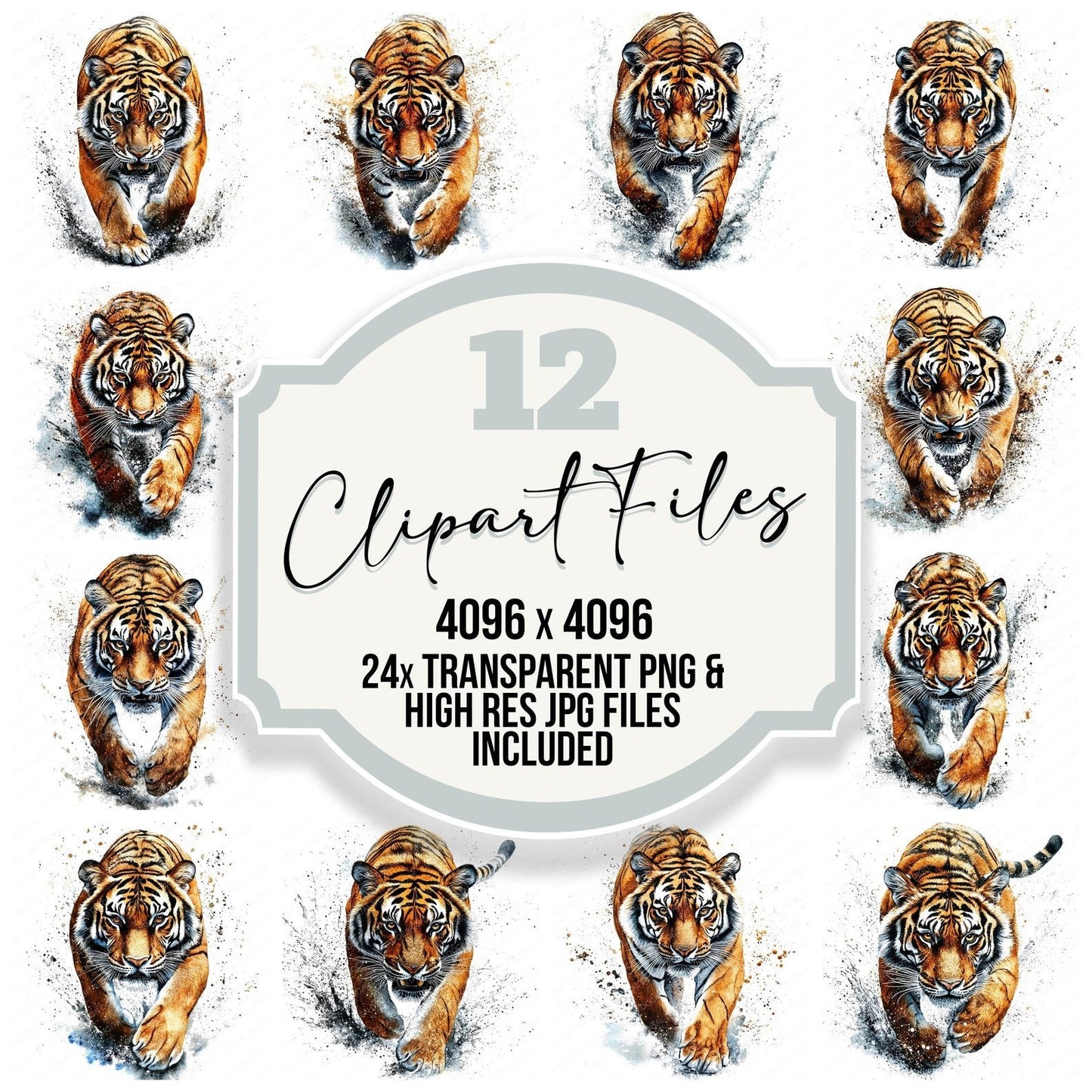 Pouncing Tiger Clipart Set (DDD006345)