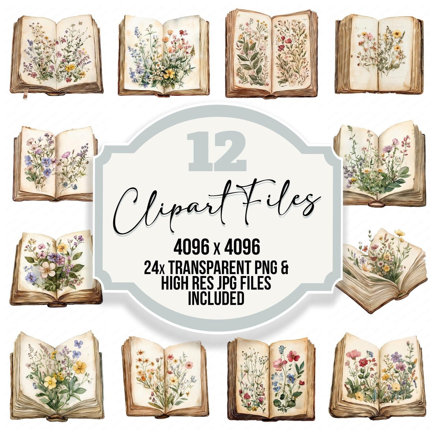 Pressed Flowers Book Clipart Set (DDD006352)