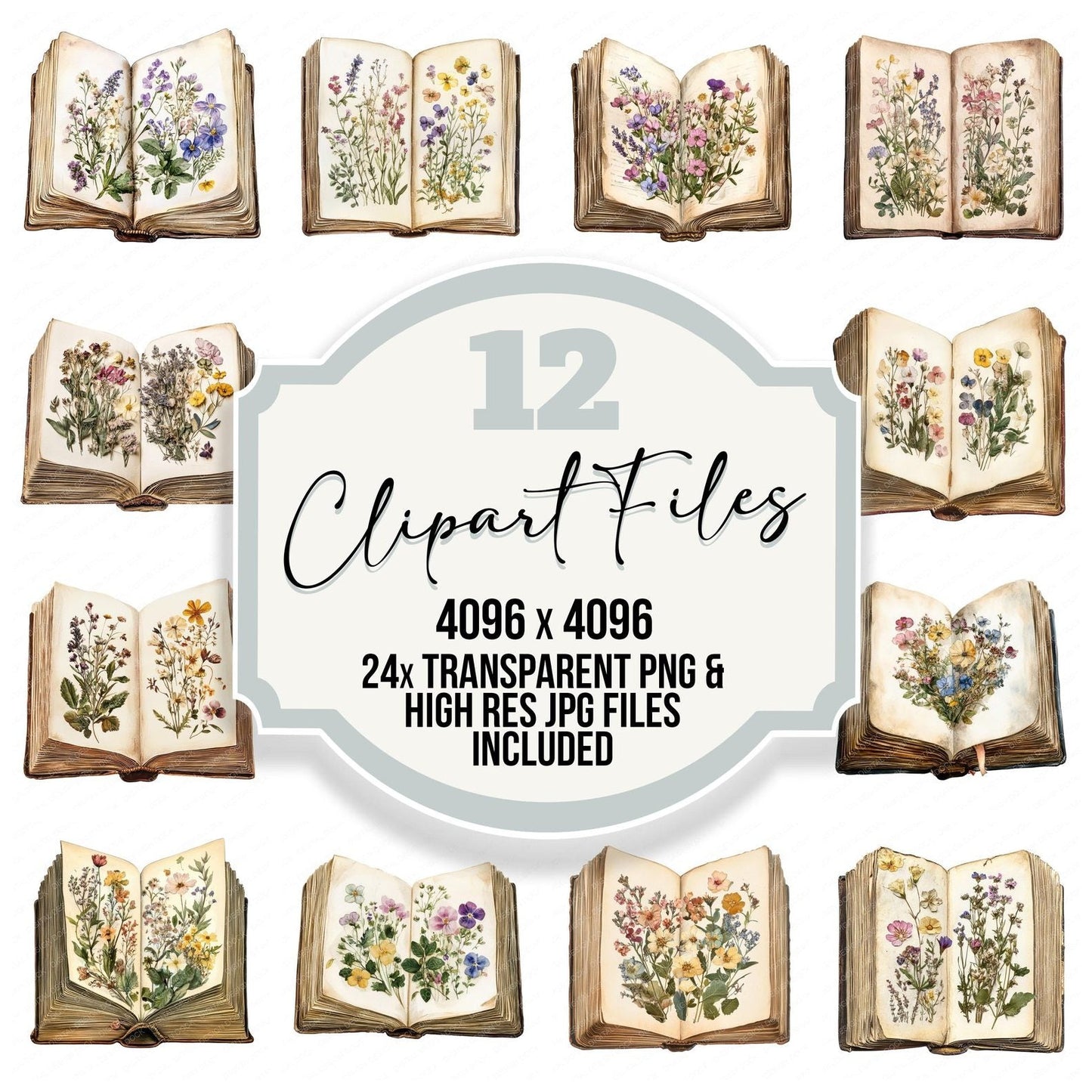 Pressed Flowers in Book Clipart Set (DDD006353)