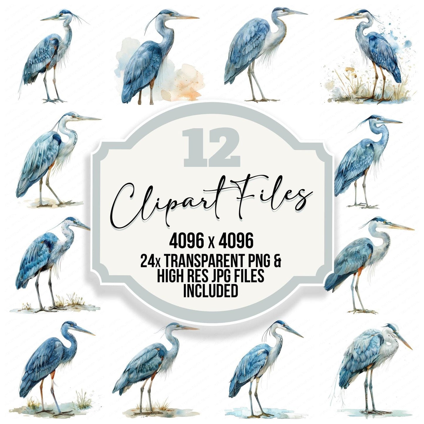 Proud Heron Clipart Set (DDD006363)