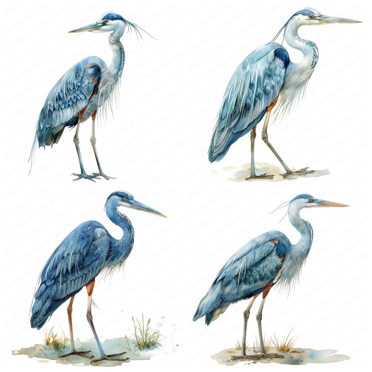 Proud Heron Clipart Set (DDD006363)