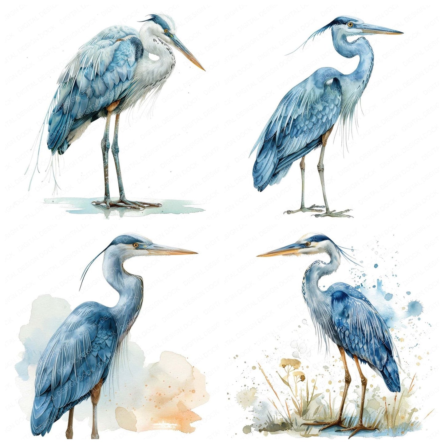 Proud Heron Clipart Set (DDD006363)