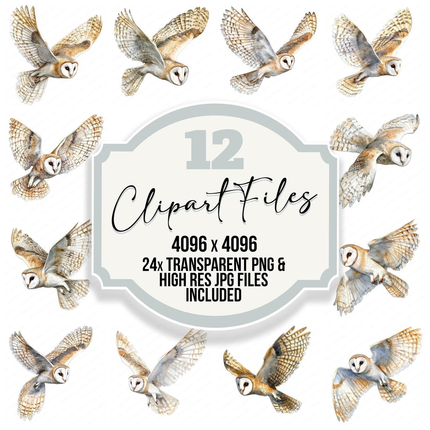 Regal Barn Owl Clipart Set (DDD006406)
