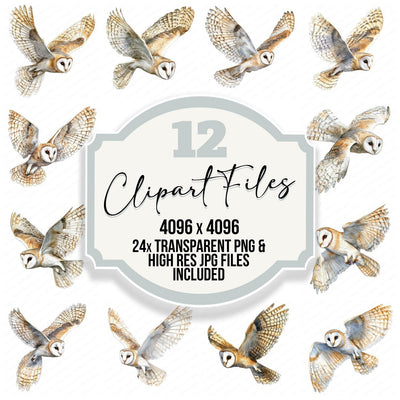 Regal Barn Owl Clipart Set (DDD006406)